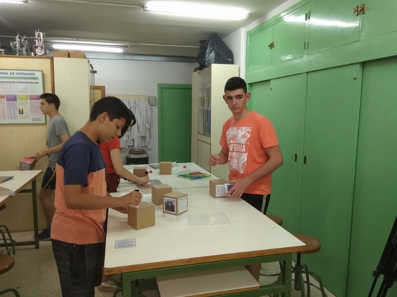 IMG 20190606 114531 (Copy)